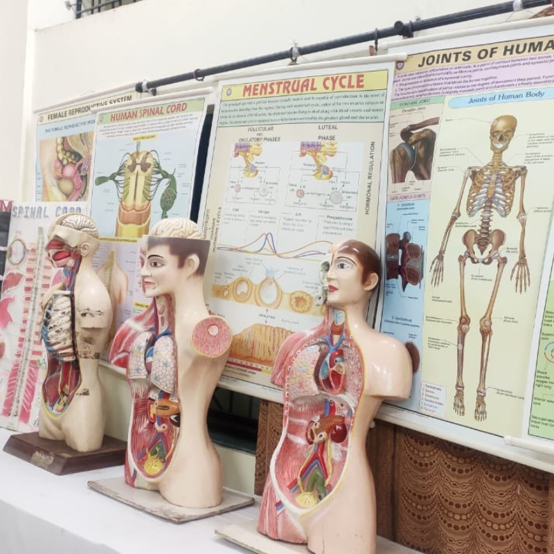 Nursing Full Lab Setup