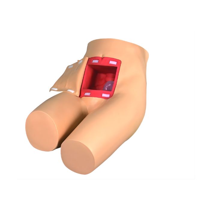 Enema and Assisted Defecation Training Simulator