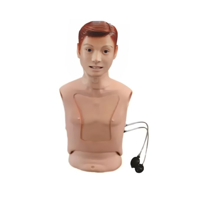Nasogastric Feeding & Tracheal Intubation Simulator