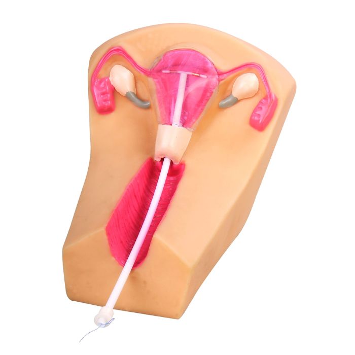 IUD Training Simulator