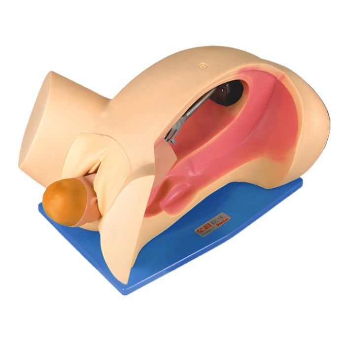 Delivery Mechanism Demonstration Simulator