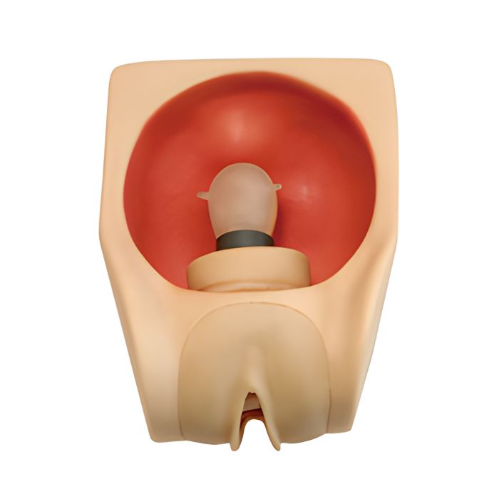 Advanced Female Contraception Practice Simulator