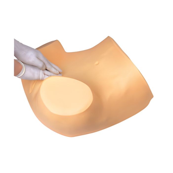 Gynecological Examination Simulator