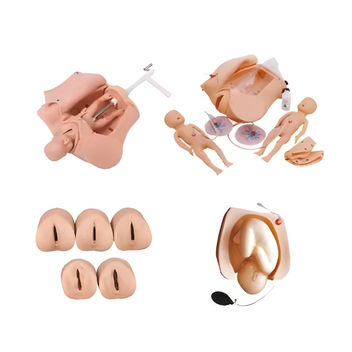 Advanced Abdominal Palpation & Delivery Mechanism Integrated Simulator