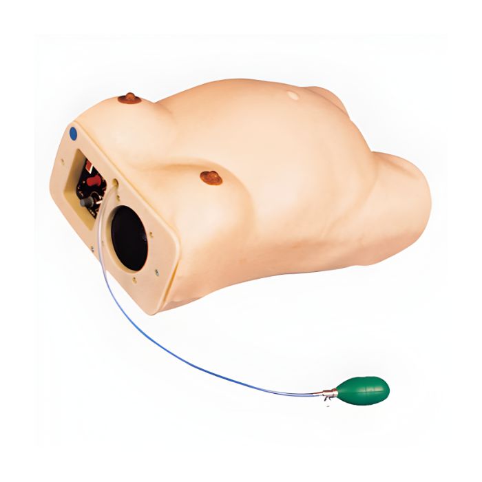 Maternity Examination Simulator