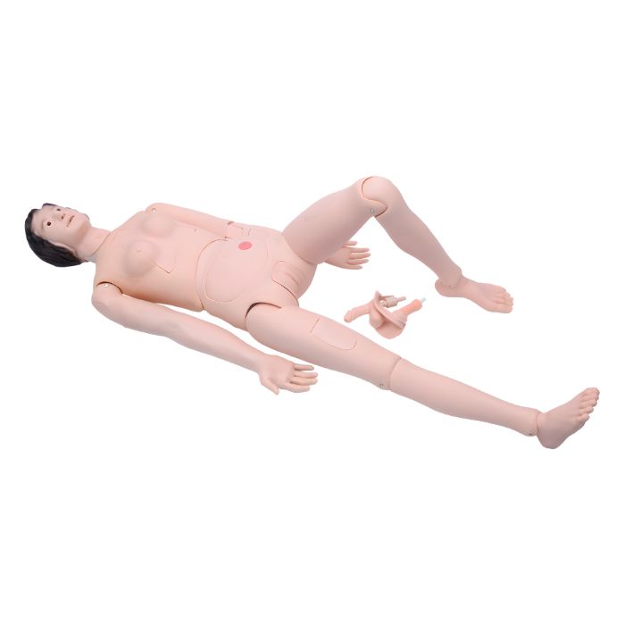 High Quality Nurse Training Doll (Female)