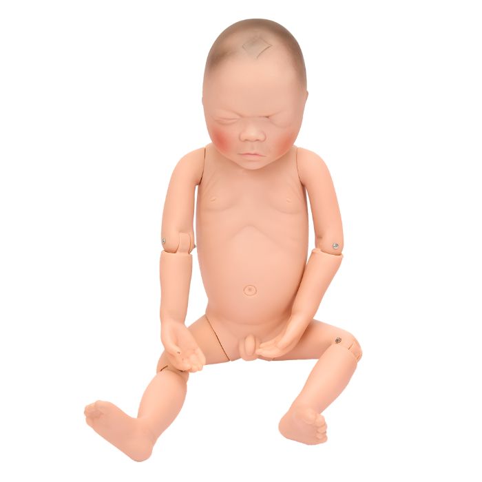 Newborn Model (Baby Model)