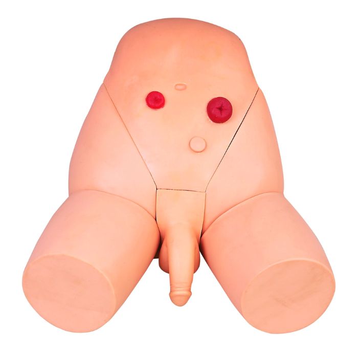 Catheterization Training Simulator(Male)
