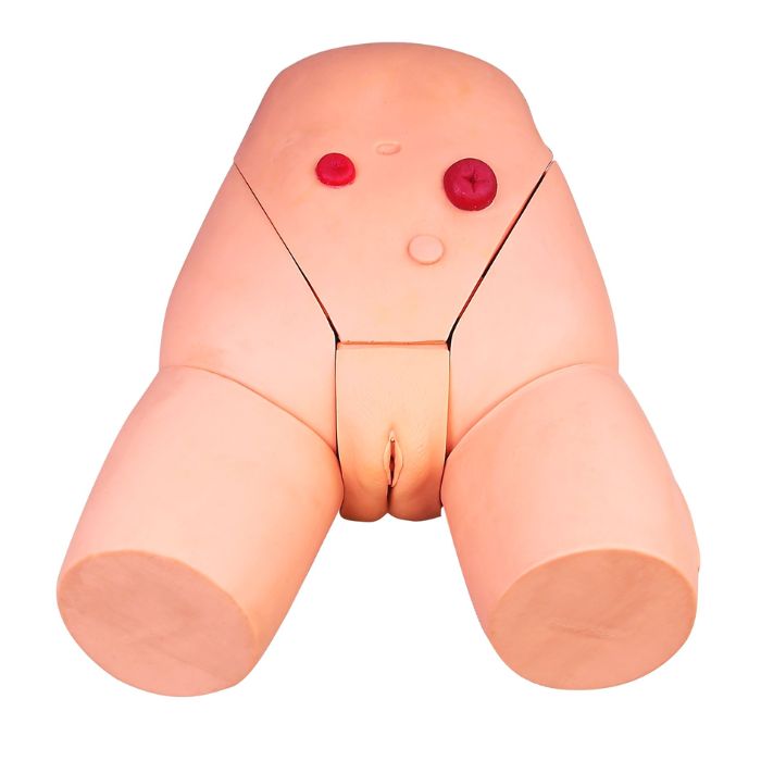Catheterization Training Simulator(Female)