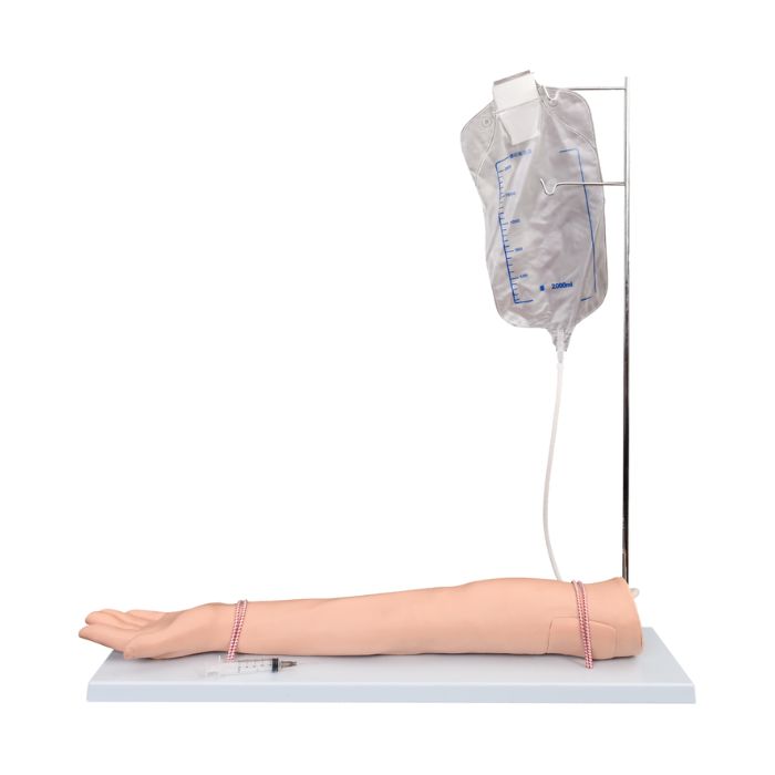 Injectable Training Arm Model (With Set)