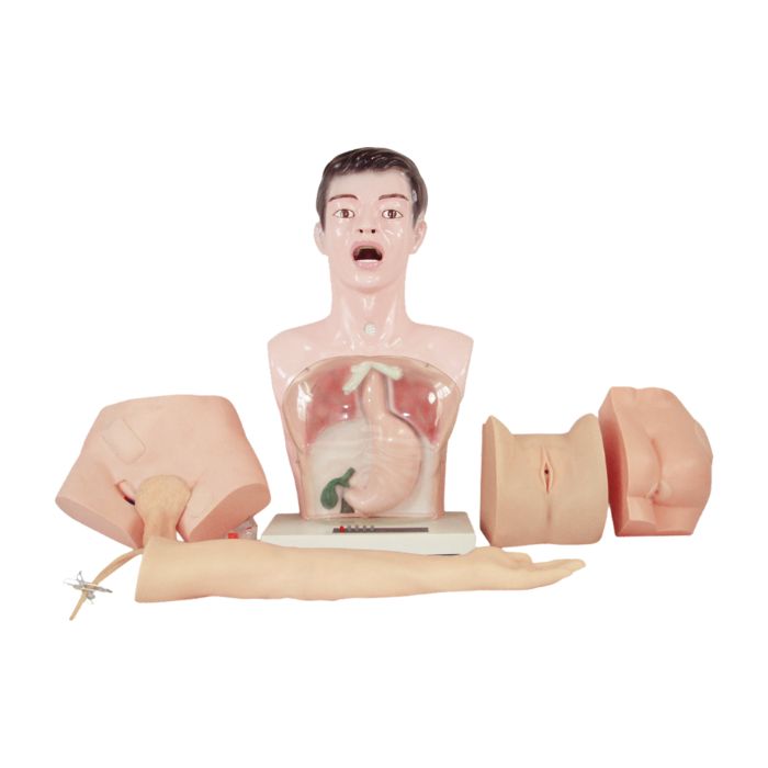 Nurse Basic Practice Teaching Model